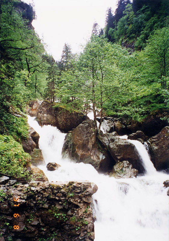 Photo14.jpg